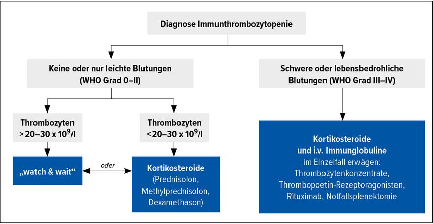 Algorithmus der ITP-Erstlinientherapie