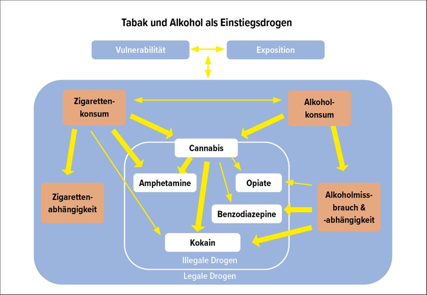 Pfadanalyse zum Konsum