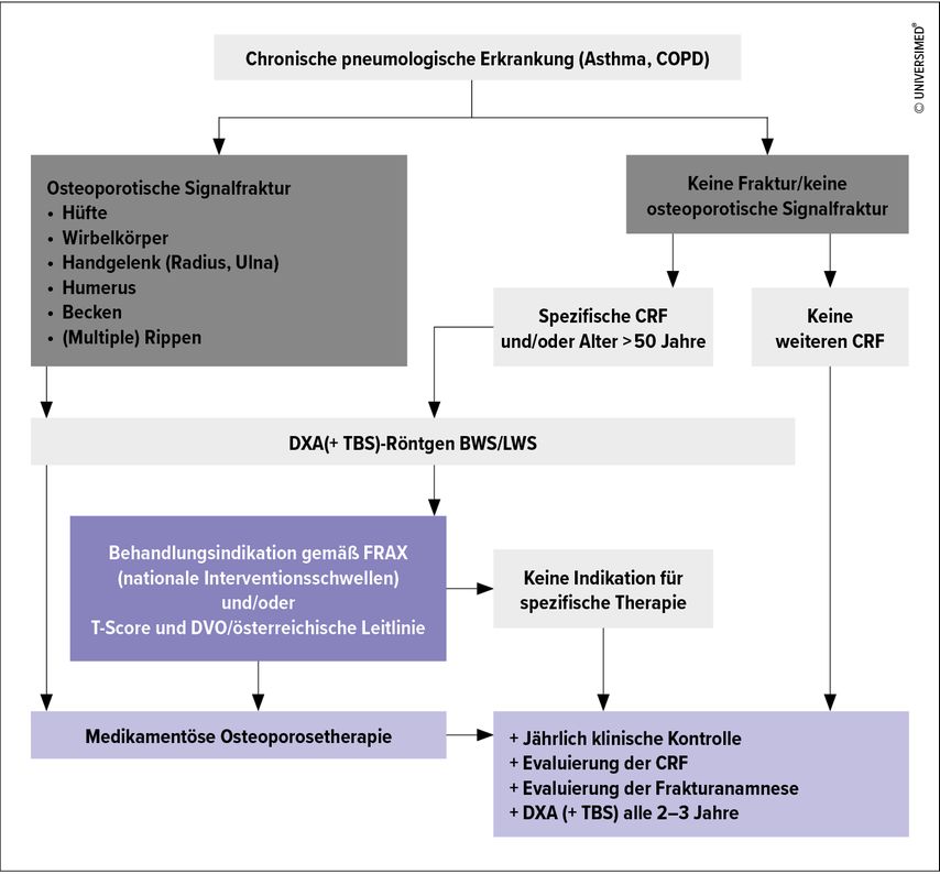 Behandlungsalgorithmus gemäß Fracture Risk Assessment (FRAX) bei chronischer pneumologischer Erkrankung und Osteoporose