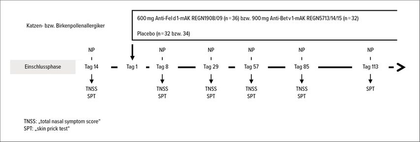 Studienprotokoll der Pilotstudien mit allergenspezifischen, blockierenden Antikörpern