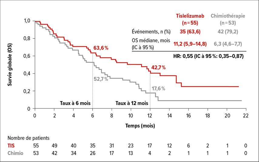 Survie globale sous tislelizumab par rapport à la chimiothérapie dans le sous-groupe des participants européens et nord-américains à l’étude