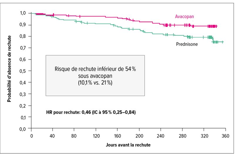 Étude ADVOCATE: risque de rechute sous avacopan ou prednisone