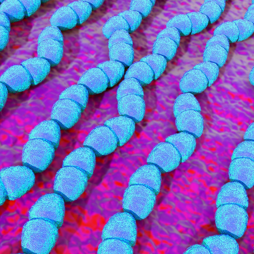 Endocardite après un TAVI Médecine interne Universimed Knowledge