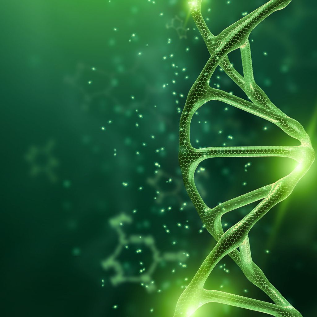 AG Biologika Fortbildungen Universimed Medizin im Fokus