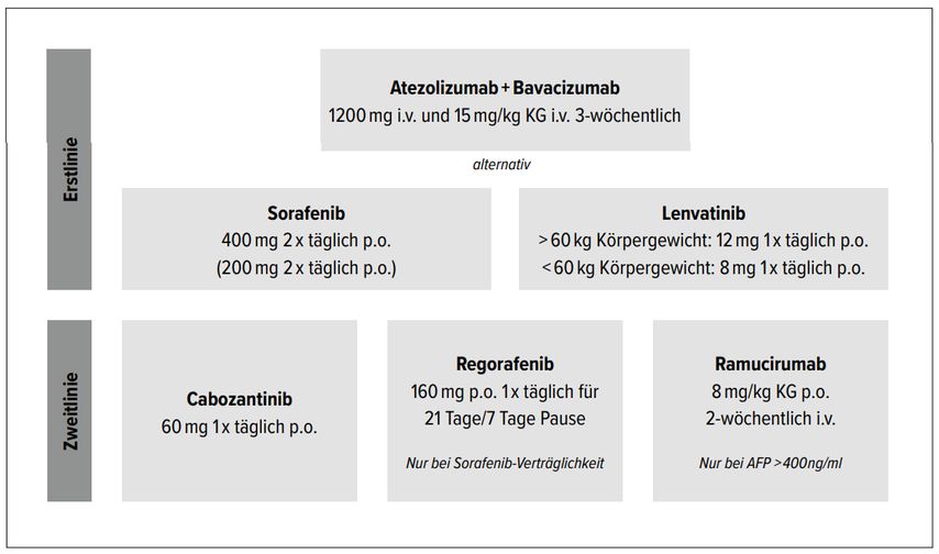 Hepatozelluläres Karzinom: Müssen wir die Guidelines neu schreiben ...