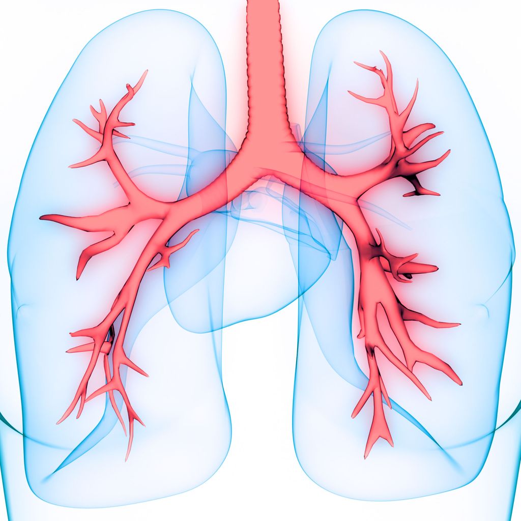elfbar elfa kaufen Krank durch E-Zigaretten - Pneumologie - Universimed