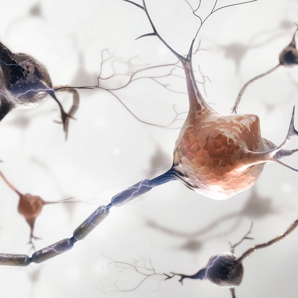 4,5StundenZeitfenster für Lysetherapie bestätigt Universimed