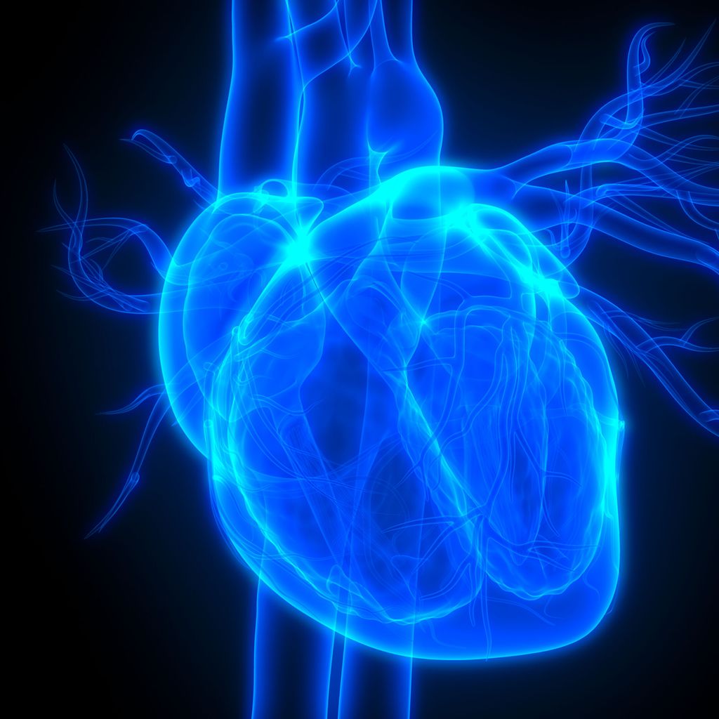 Ceramide neue Prädiktoren für das kardiovaskuläre Risiko