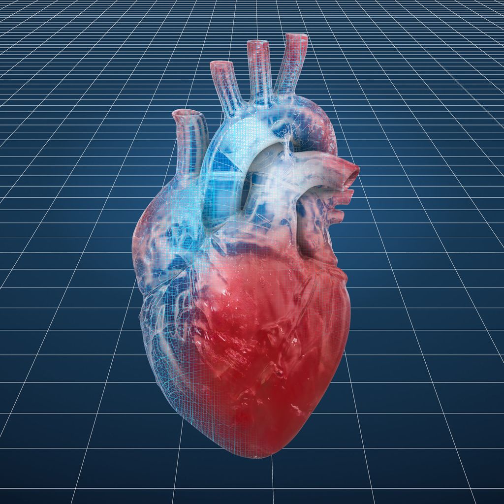 Kardiales Remodelling Bei Vorhofflimmern Kardiologie Gefassmedizin Universimed Medizin Im Fokus