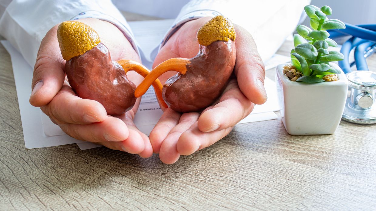 Proteinurie und nephrotisches Syndrom Definition, Ursachen und