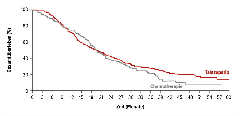 Neue Therapieoptionen verbessern Prognose bei Mammakarzinom - Onkologie - Universimed - Medizin ...