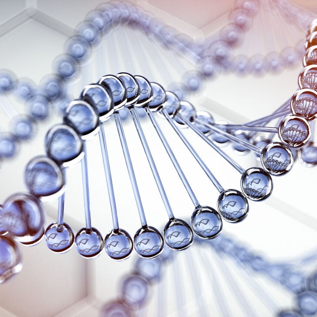 Update zur CARTZellTherapie Onkologie Universimed Medizin im Fokus