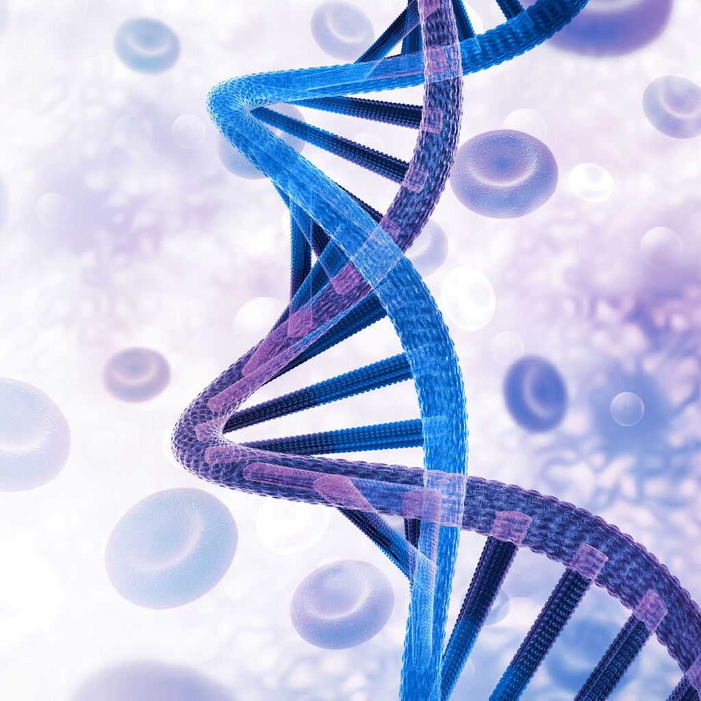 Molekulare Stratifizierung bei hämatologischen Neoplasien Onkologie