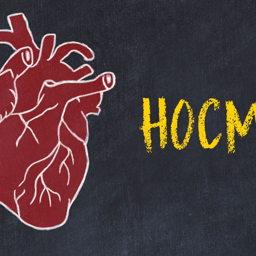 HOCM Neuigkeiten aus EXPLORERCN und VALORLTE Universimed