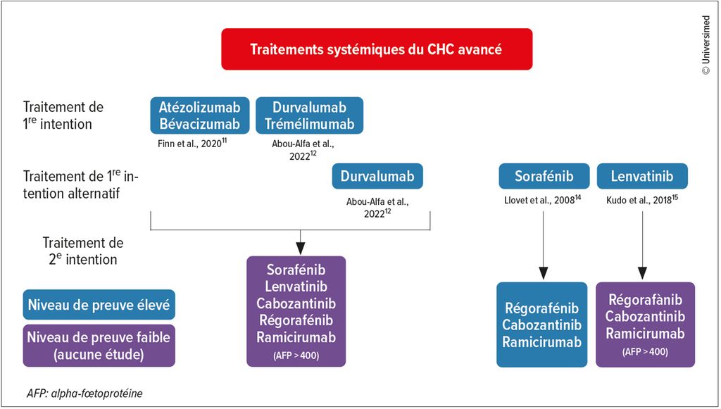 Carcinome hépatocellulaire Universimed Medizin im Fokus