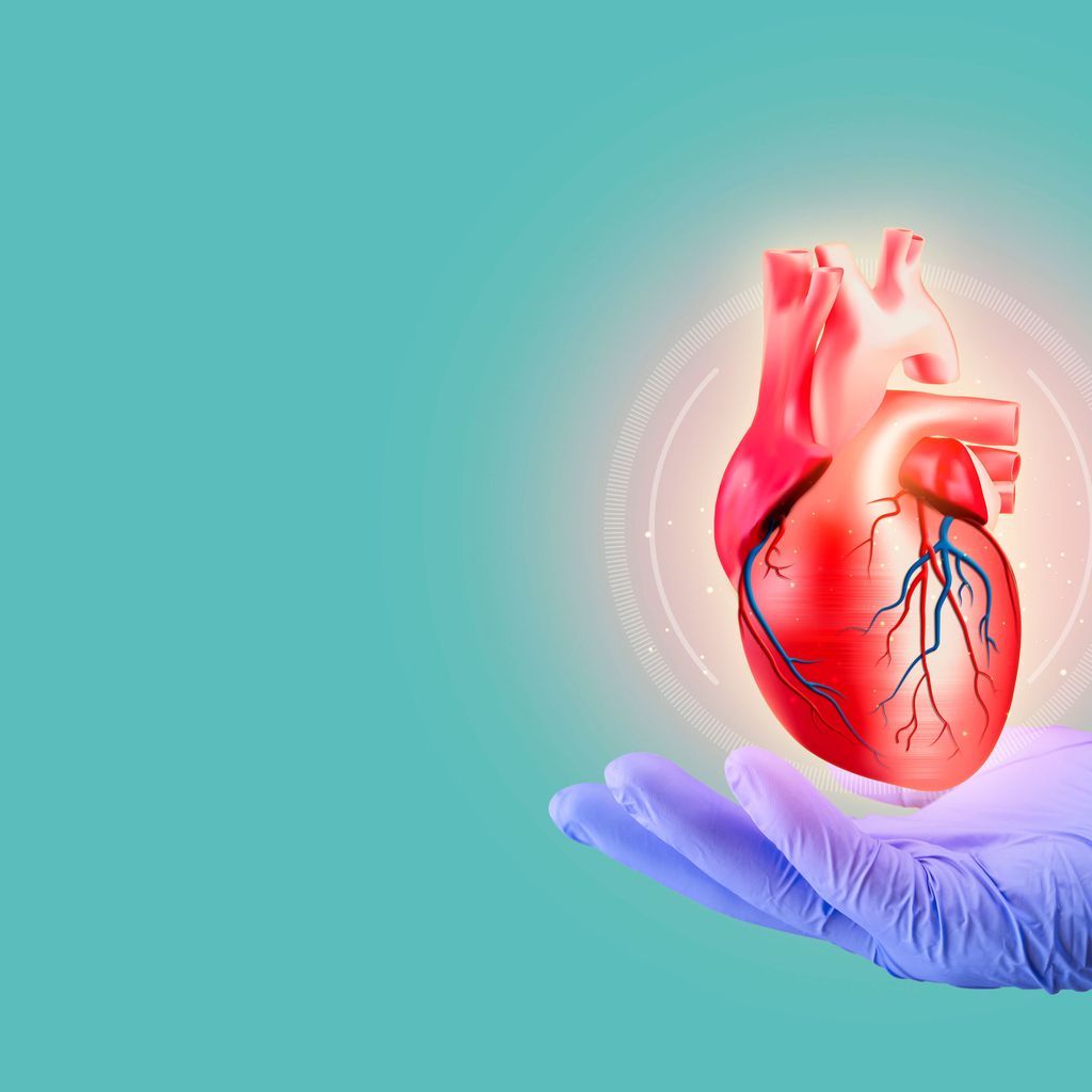 Erste RealWorldDaten mit Mavacamten im klinischen Alltag