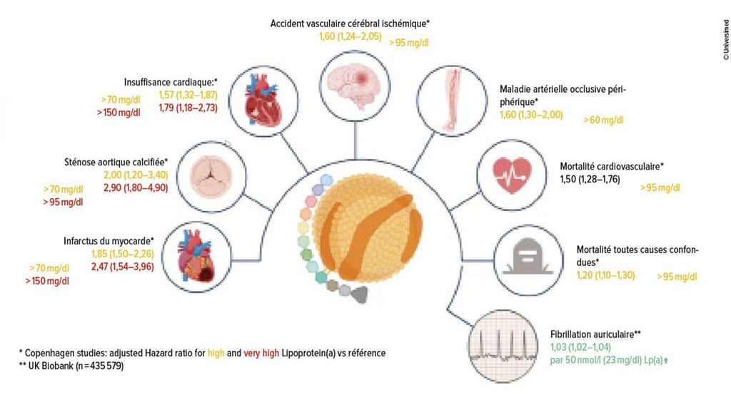 Ce qu’il faut savoir sur le facteur de risque cardiovasculaire lipopro ...