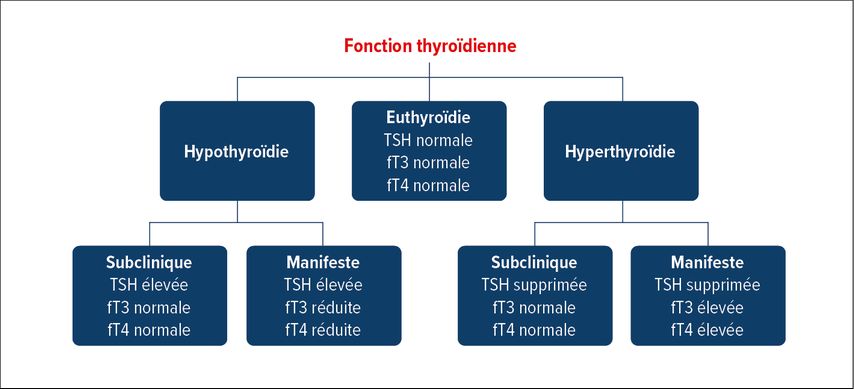 Mise à jour sur l'hyperthyroïdie et l'hypothyroidie - Médecine ...