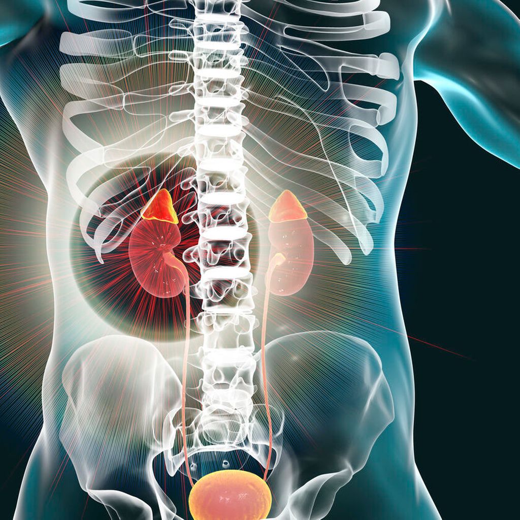 Sunitinib ist Therapieoption mit höchster verfügbarer Evidenz
