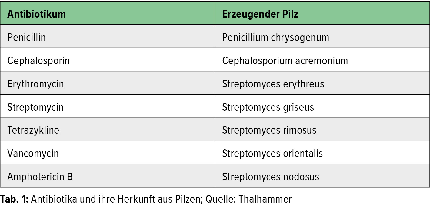 Geschichte Der Antibiotika - Infektiologie - Universimed - Medizin Im Fokus