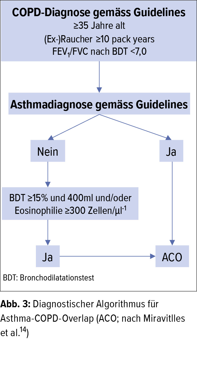 Einblicke In Die Pathogenese Der Entzundung Bei Copd Pneumologie Universimed Medizin Im Fokus