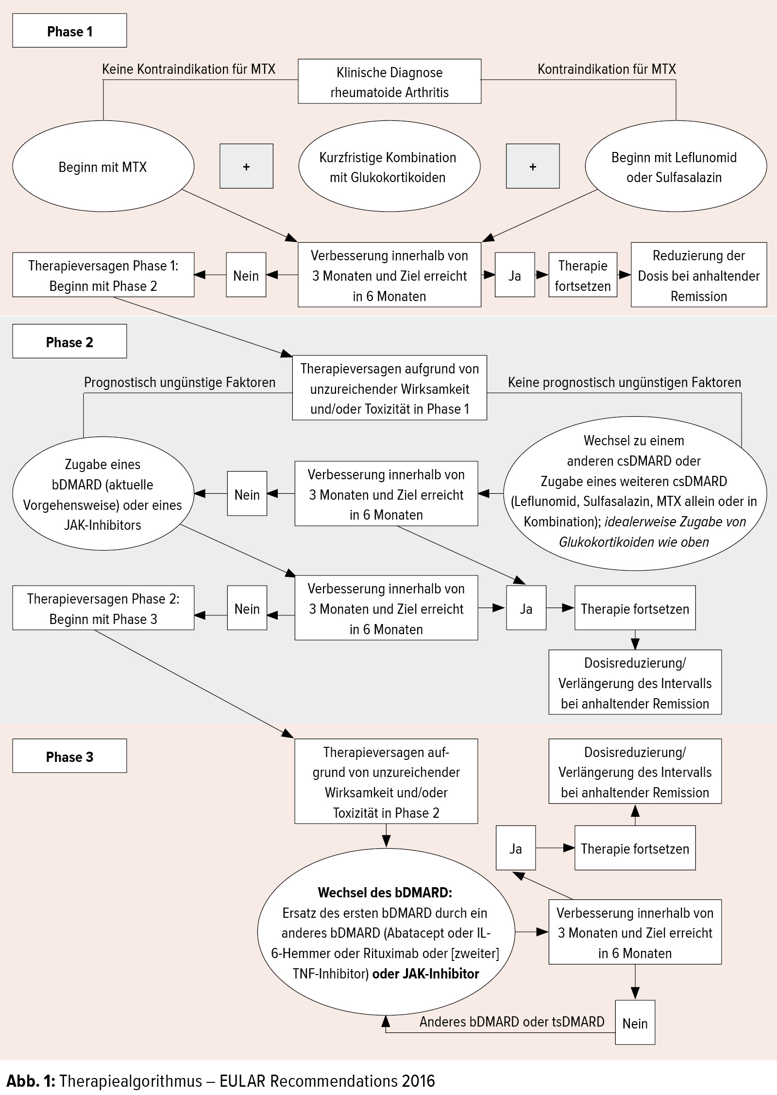 Pharmakologische Therapie Bei Entzundlichen Rheumatischen Erkrankungen Allgemeine Innere Medizin Universimed Medizin Im Fokus