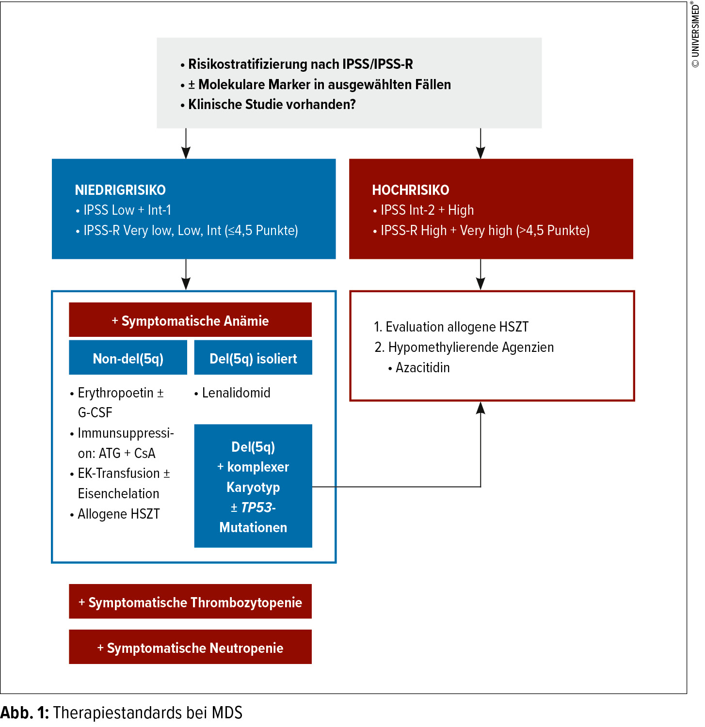 Therapiestandards Bei Myelodysplastischen Syndromen Hamatologie Universimed Medizin Im Fokus