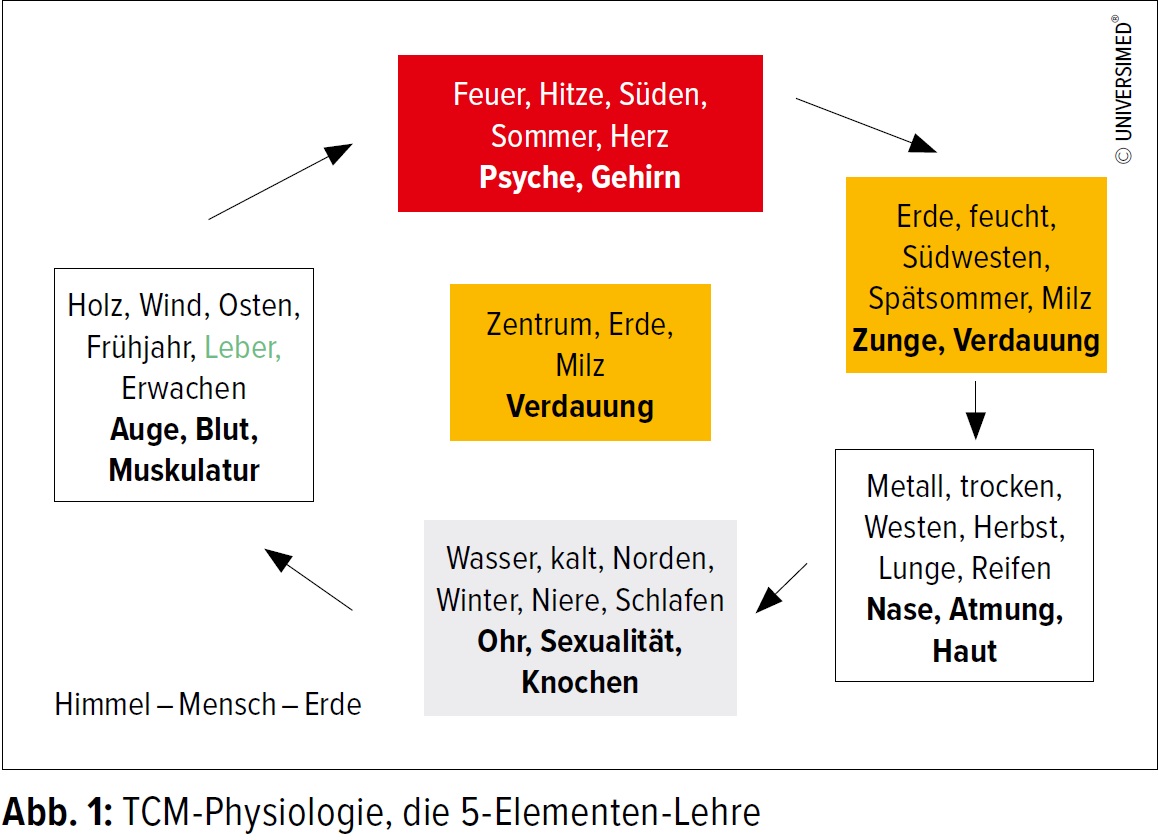 Der Darm Im Zentrum Gastroenterologie Universimed Medizin Im Fokus