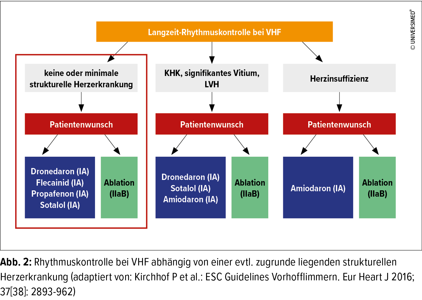 Vorhofflimmern Bei Athleten Kardiologie Gefassmedizin Universimed Medizin Im Fokus