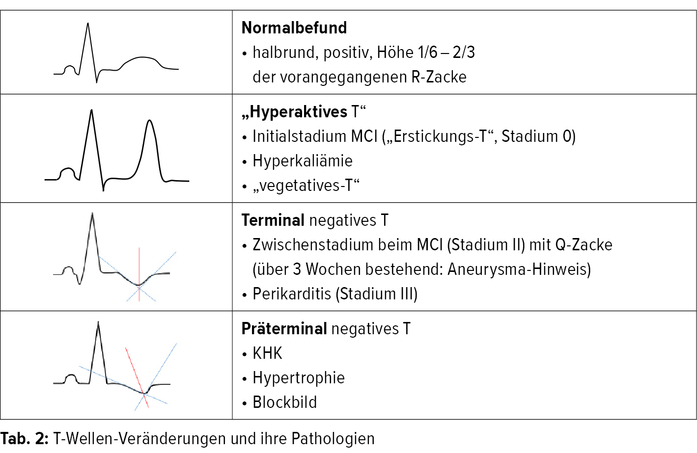 Kardiologie & Gefäßmedizin - Universimed - Medizin im Fokus