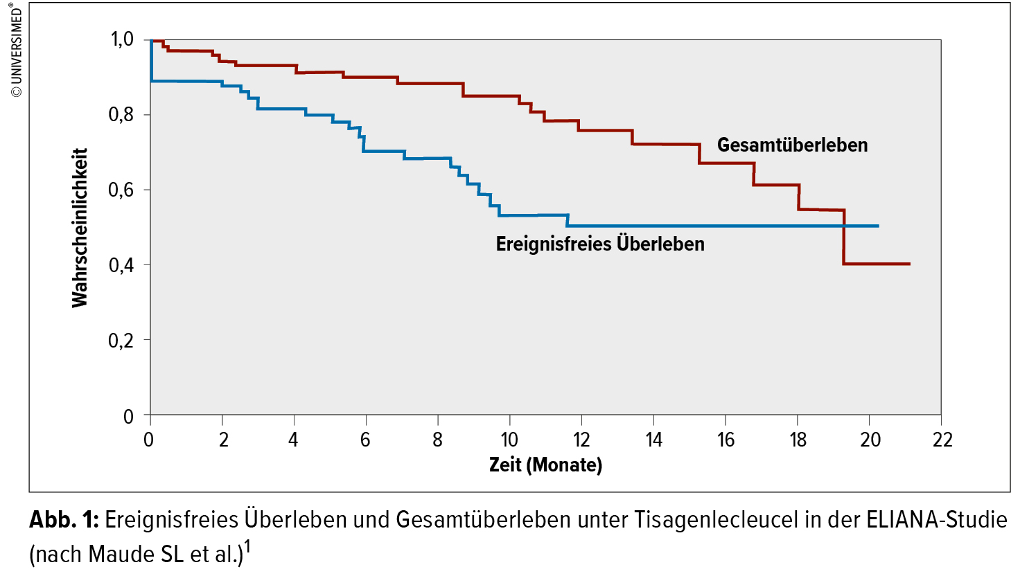 Car T Zelltherapie Was Kommt Nach Cd19 Onkologie Universimed Medizin Im Fokus