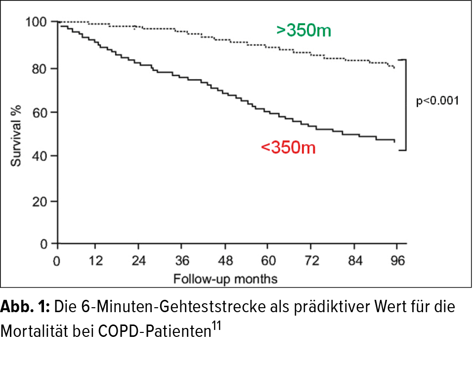 Einfache Funktionelle Belastungstests In Der Pneumologie Pneumologie Universimed Medizin Im Fokus