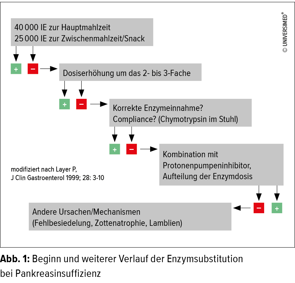 Ernahrung Und Enzymsubstitution Hepatologie Universimed Medizin Im Fokus