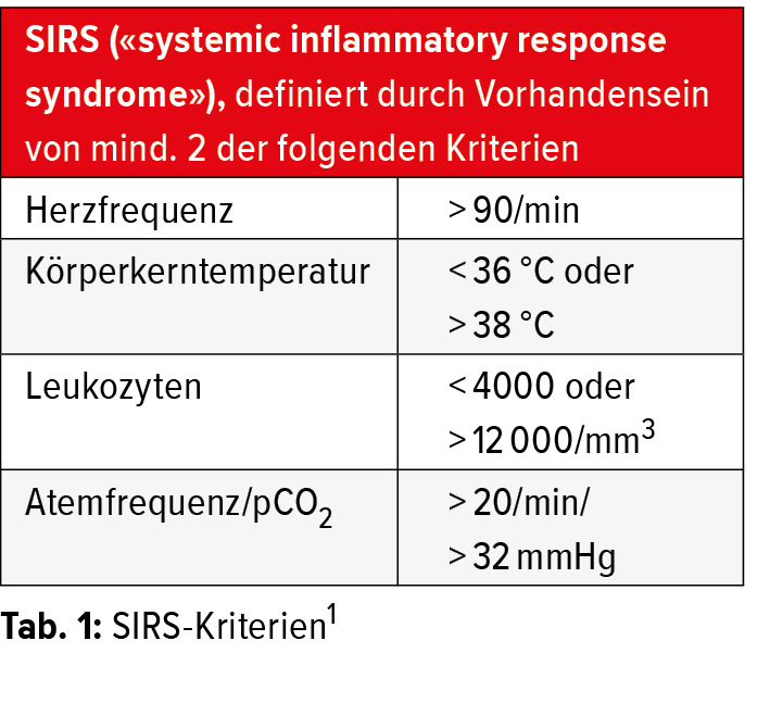Akute Und Chronische Pankreatitis Ein Update Fur Den Klinischen Alltag Gastroenterologie Universimed Medizin Im Fokus